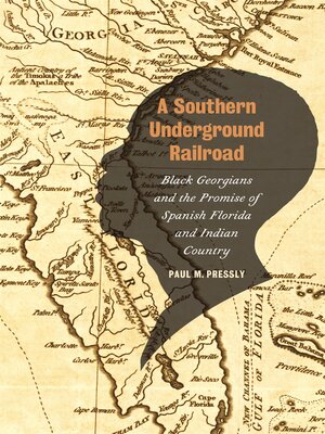 cover image of A Southern Underground Railroad
